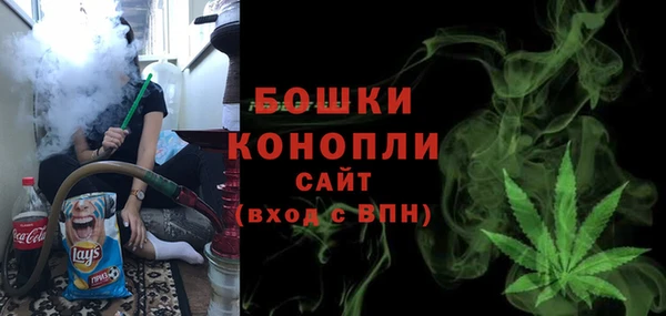 СК Горнозаводск