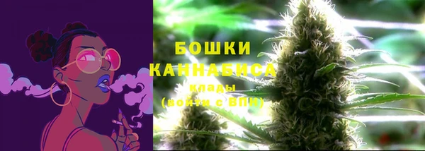 spice Горняк
