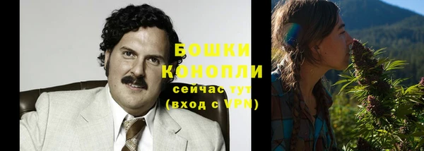 СК Горнозаводск