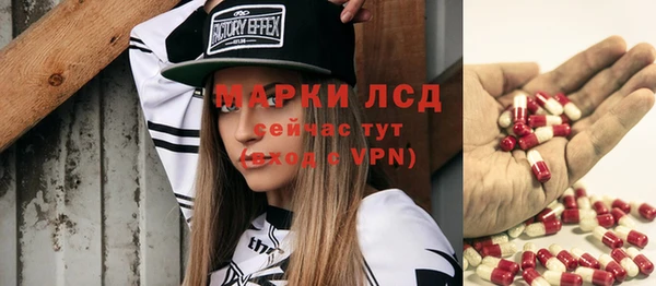 spice Горняк