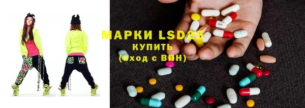 spice Горняк