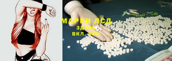 СК Горнозаводск
