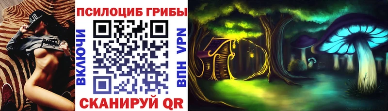 Купить где  Беломорск  Псилоцибиновые грибы Magic Shrooms 